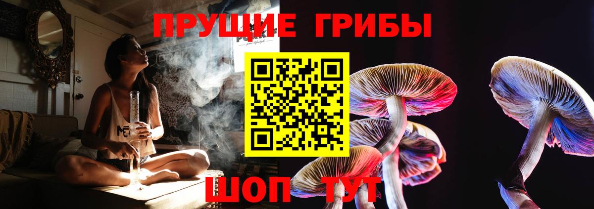 Галлюциногенные грибы Magic Shrooms Михайловск
